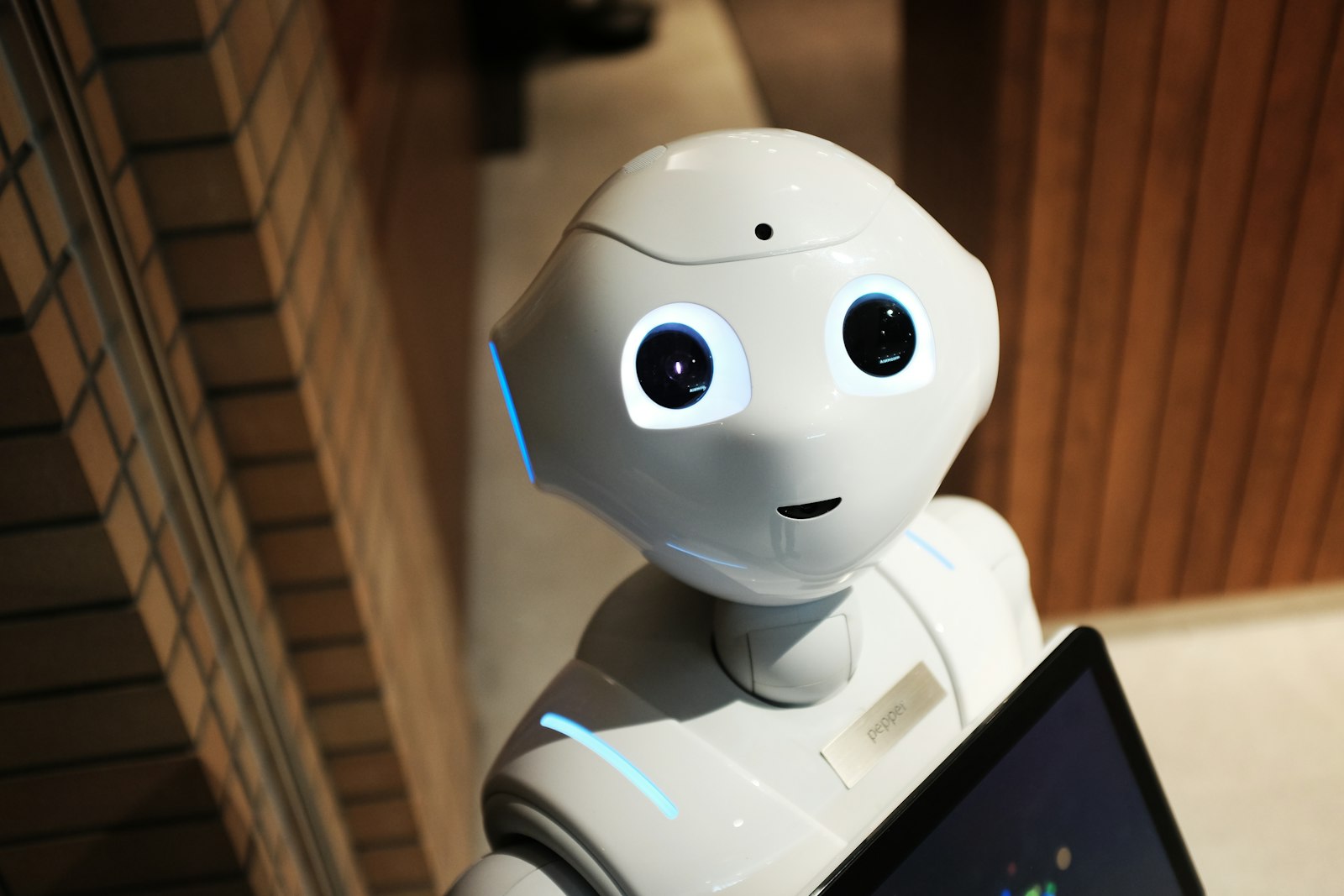 Humanoid robot with camera eyes looking toward the viewer