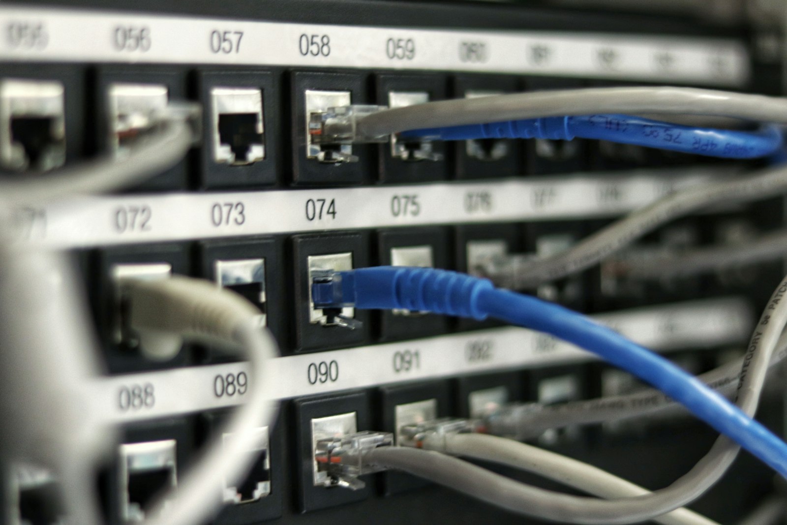 Labeled patch panel with network cables in an equipment rack